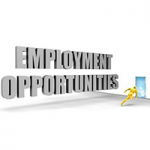 Job seekers employment opportunities